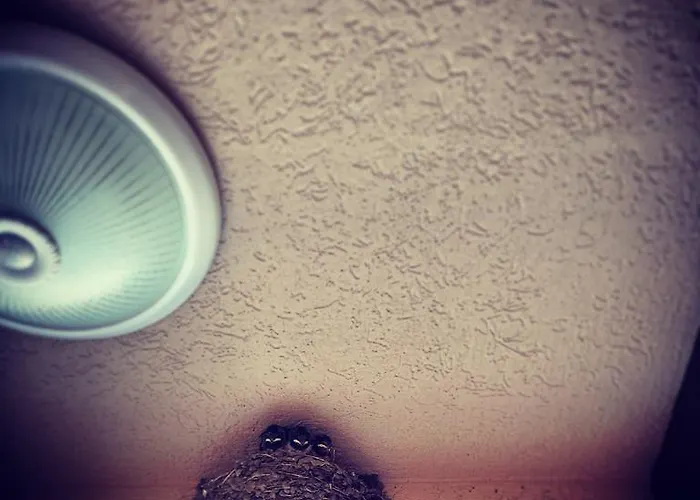 ゲストハウス Natali